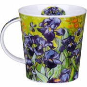 ������ Cairngorm Irises 480��