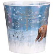 ������ Cairngorm Moonbeam Deer 480��