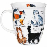 ������ Nevis Messy cats 480��