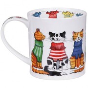 ������ Orkney Trendsetters cat 350��