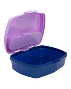 ����-���� � ��������� ��������� Frozen 17x14x6�� 74209