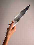 ���� ���� Mojo SMJ-06W