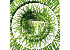 ����� ��� ���� � ������� Erbe 100�� 11-191