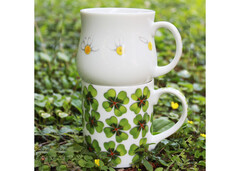 ����� ������ ����� Mi...Ama 22-2