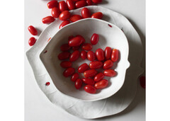 ����� �������� Foglia 31�� 55-16