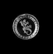 ���� ������� ��� ��� Maori 360�� 27293020206