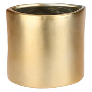 ���� Augusto Eye Gold 15,5�9�11�� H225700019