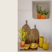 ����� Dicasa ��������� 10,5�9�16�� H234000006