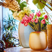 ���� Nebula ������ 28,5�26,5�13�� U30367109U00