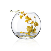 ���� Inspiration 20�� 5000/200