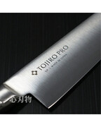 ��� ��� DP Pro 24�� F-890