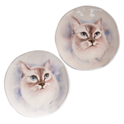 ������� ��������� �������� ��� �������� 20�� A0206