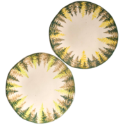 ������� ��������� �������� ���� 20�� A0204