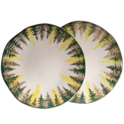 ������� ��������� �������� ���� 20�� A0204