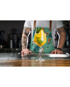 ����� ������� ��� ���� Alkemist 670�� 26522020006