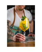 ����� ������� ��� ���� Alkemist 670�� 26522020006