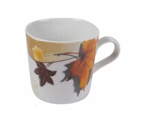 ����� ��� ��� � ������� Foggia 220��