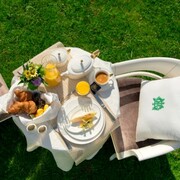 ������ �� ������� Accompanist 3,5� 4886L/93629