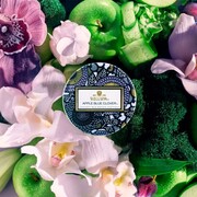 ���������� Japonica Apple Blue Clover 90� 72424