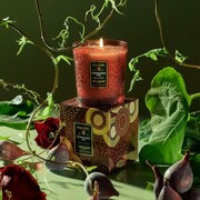 ���������� Japonica Forbidden Fig 255� 73425