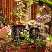 ���������� Maison Noir Jardin De Verveine 270� 8208