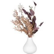 ���� Lucca 15,5�� AR3802W