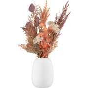 ���� Apulia 17,9�� AR3812W