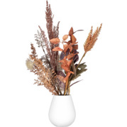 ���� Olbia 14�� AR3807W