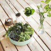 �������� Diwali Paradise Green 22�� V5846