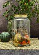 ����� ��� ������� Home Made 3� 80398