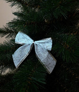 ����� �������� ������������ 10�� 5900779856165_1