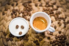 ���������� ��� ���� On the go �������� 50�� 12680011