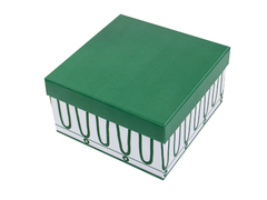 ����� ��� ��� � ������� Green Line 220�� 922-061