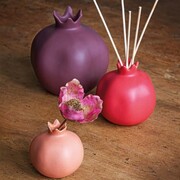 ���� Aragona Plum 13,5�� U30581108H89