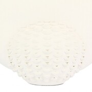 ���� Amaglia White 36�� U30599108A83