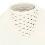 ���� Amaglia White 36�� U30599108A83