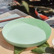 ����� ������� Diwali Paradise Green 29�� V5842