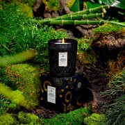 ���������� Japonica Moso Bamboo 255� 7349