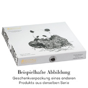 ������� �������� Marini Ferlazzo Squat Wombat 20�� DX0550