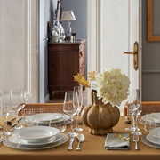 ������� ��������� Maesta 20�� U10095113D25