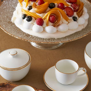 ��������� � ������� Maesta 230�� U10101007D25