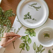 ϳ��� Coltivia 12�� U10134627P00