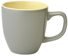 ������ Bicolor 250�� M122