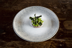 ������ �������� Sway 19�� S-MT-SWYGRM19DZ