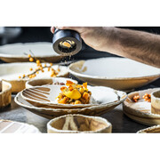 ������� �������� Solis 24�� SLS24CK