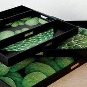 ������ Cactus 33�66�� 6-9-2