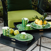 ������ Cactus 33�66�� 6-9-2