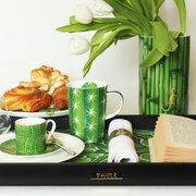 ������ Cactus 33�66�� 6-9-2