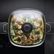 �������� Diamond Lite Induktion 24�24�� 1024-2DPI