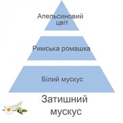 ������ ��� ��������� Aromas for the home Musc Cocoon 500�� 115374